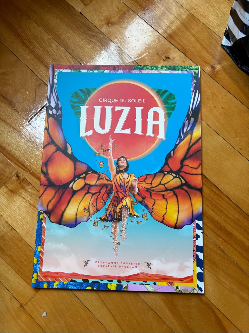 Cirque du Soleil LUZIA Souvenir Program - Vibrant Orange & Blue Cover
